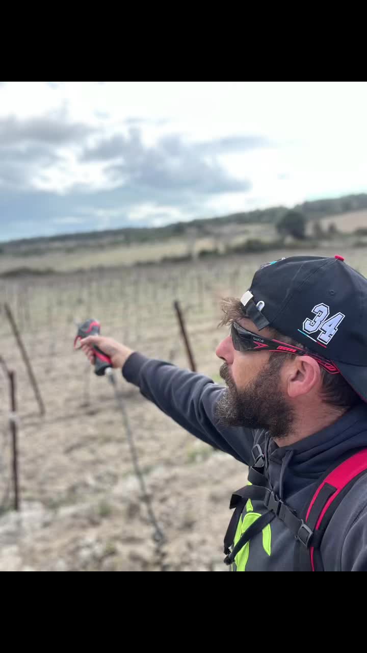 @Nico 🍇🍷🇫🇷