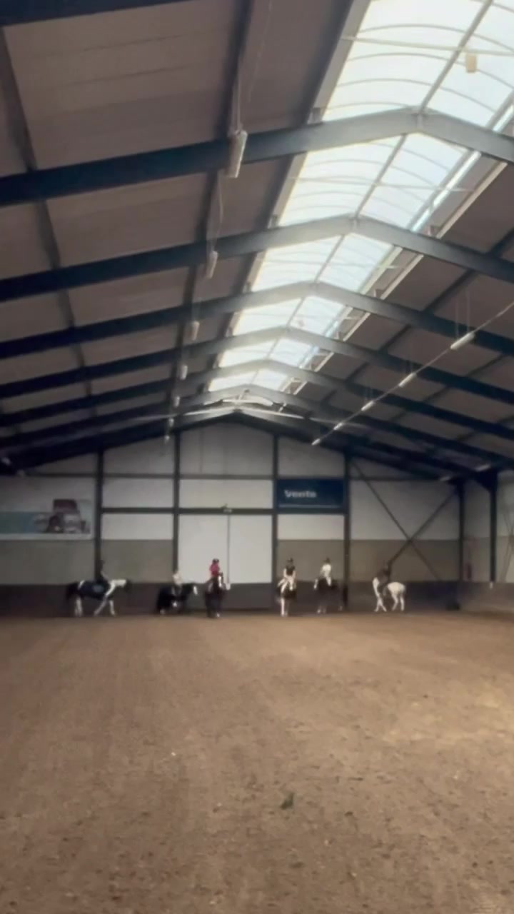 @Hippisch Centrum Dordrecht