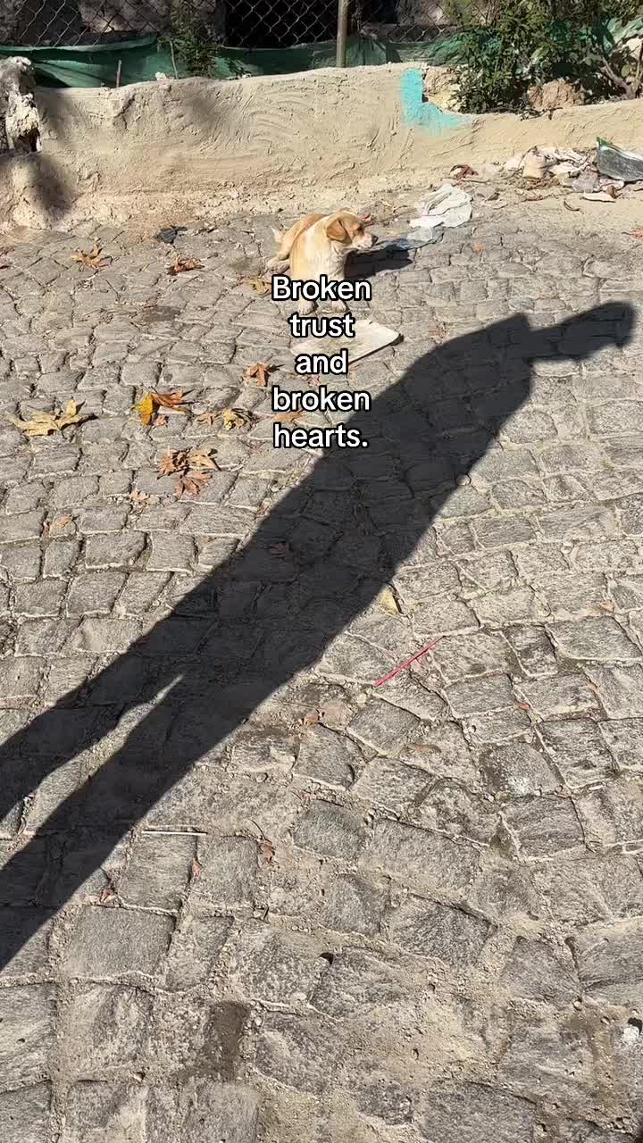 @𝓐𝓱𝓶𝓮𝓽 𝓔𝓶𝓲𝓷