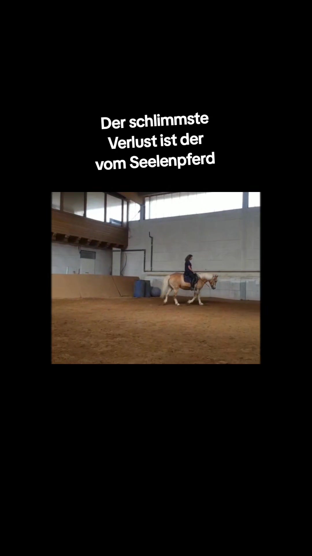 @Petra
