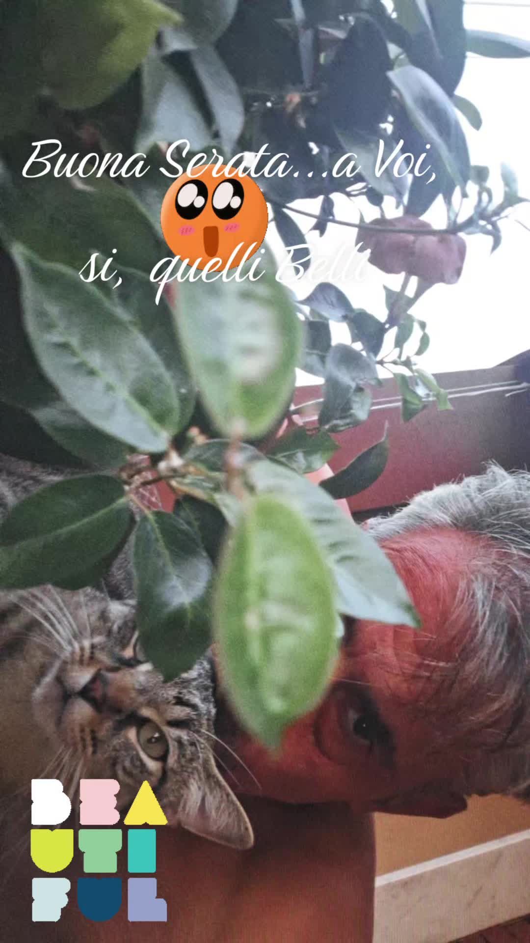 @La giusta distanza tra I ricci
