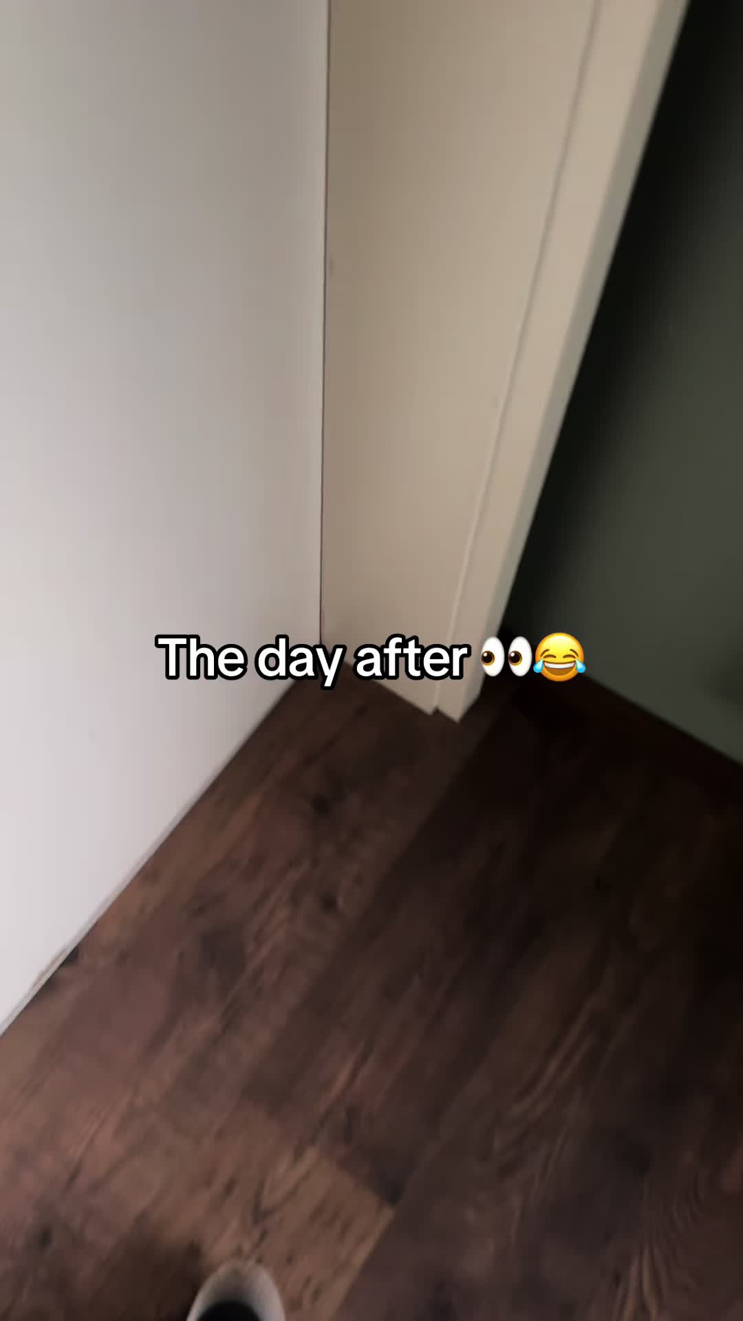 @Kreischhuhn Karma 🦉