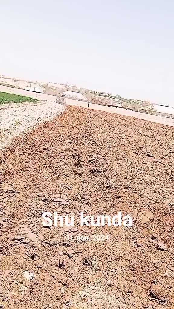 @telav