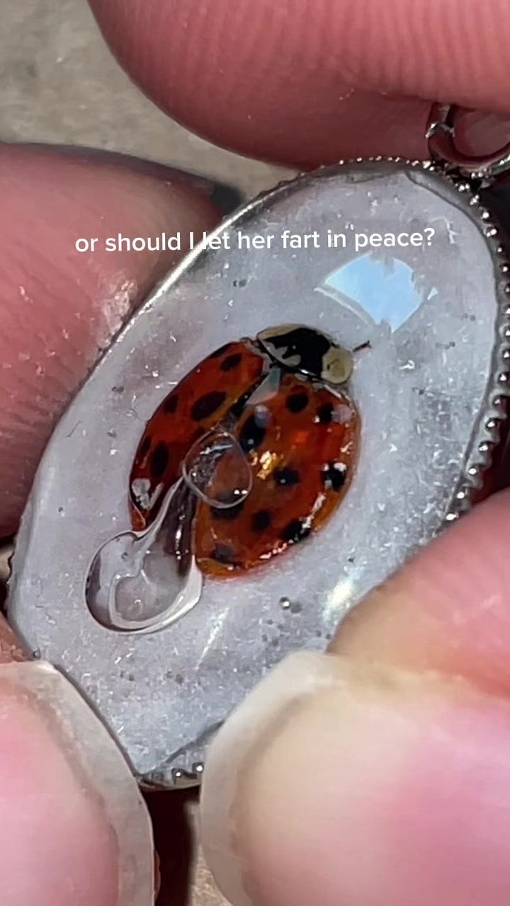 @martwa natura ze zlotem
