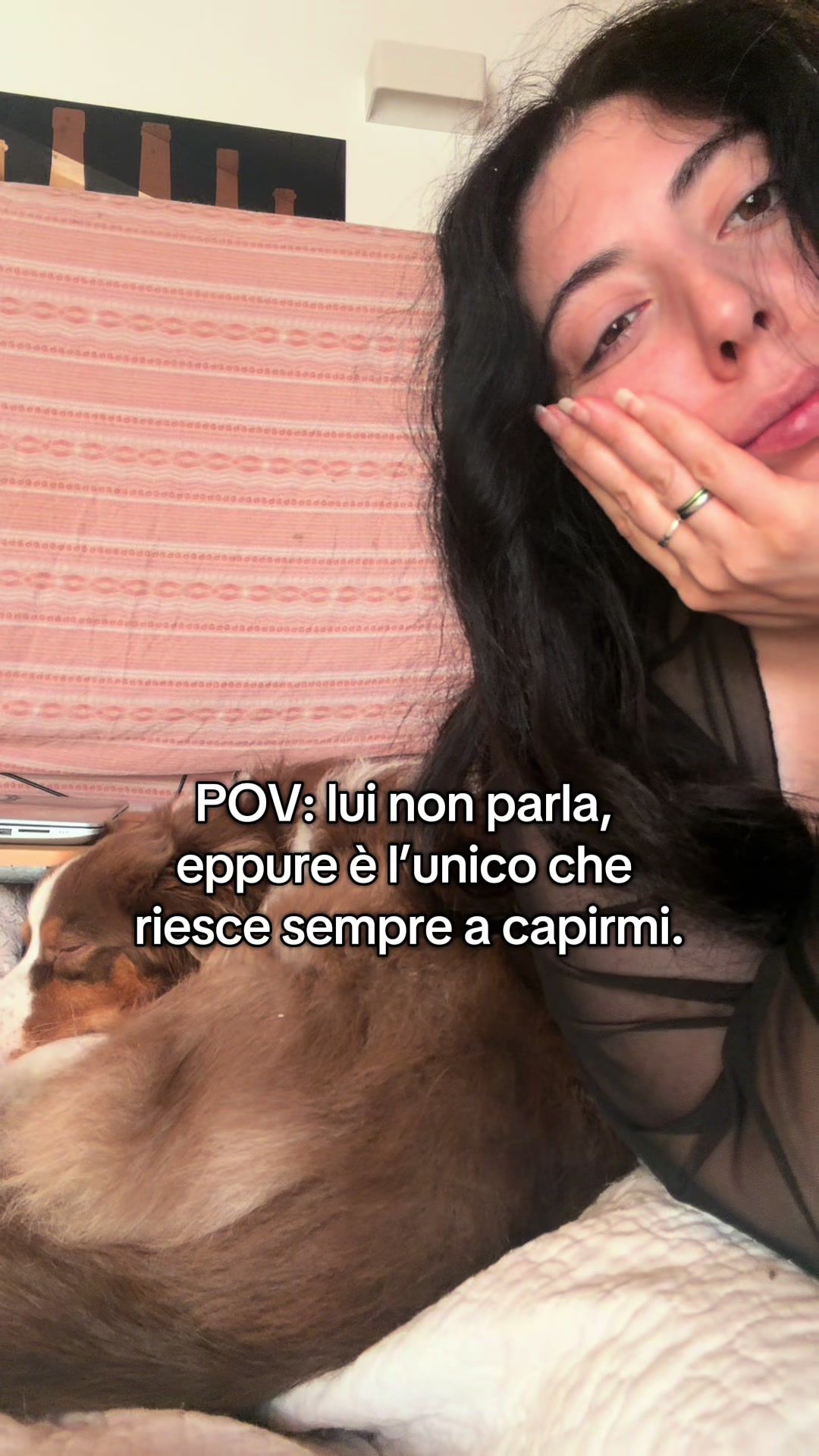 @Noeandfur 🐶🐾