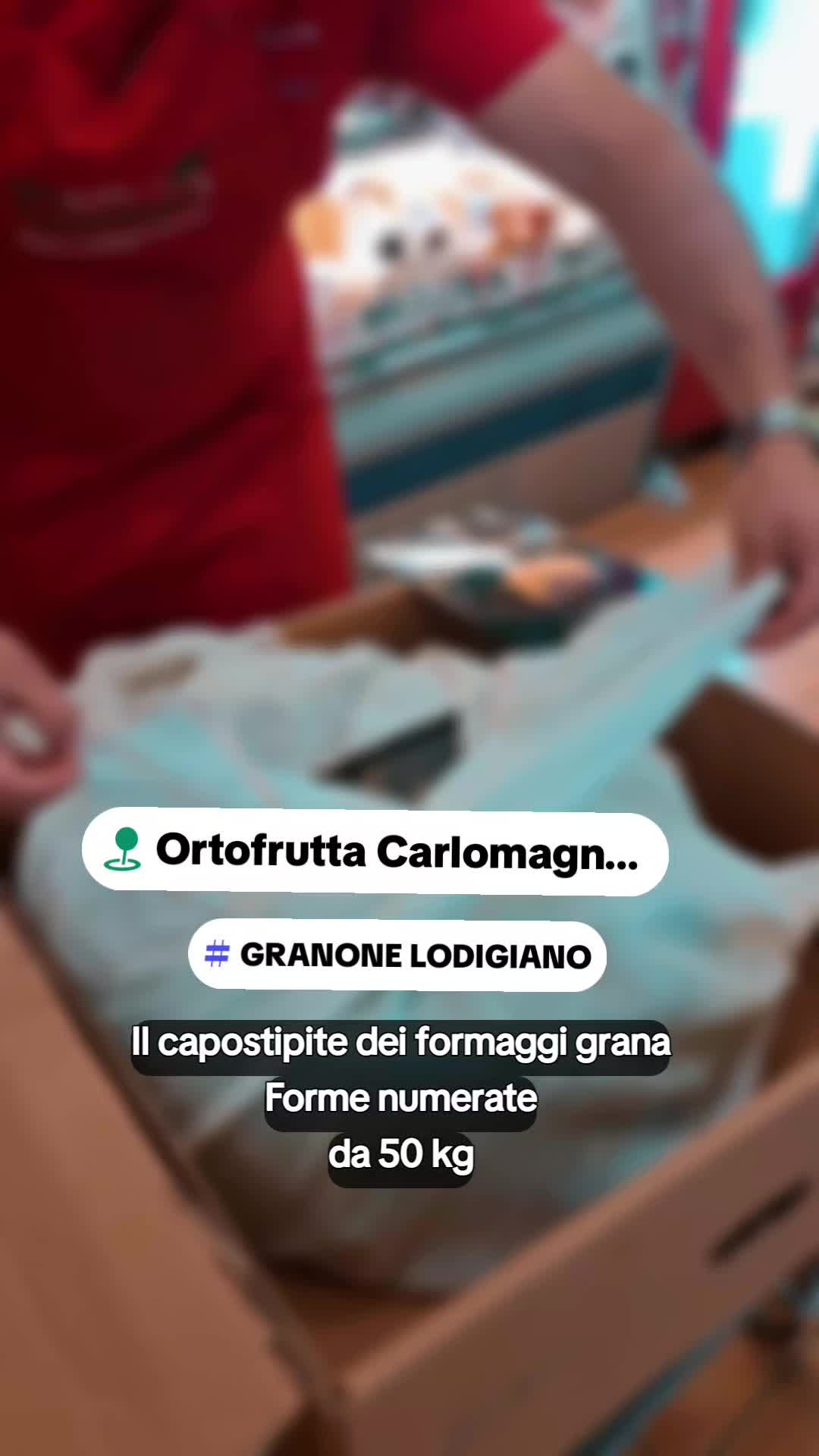 @carlomagnosalvato1