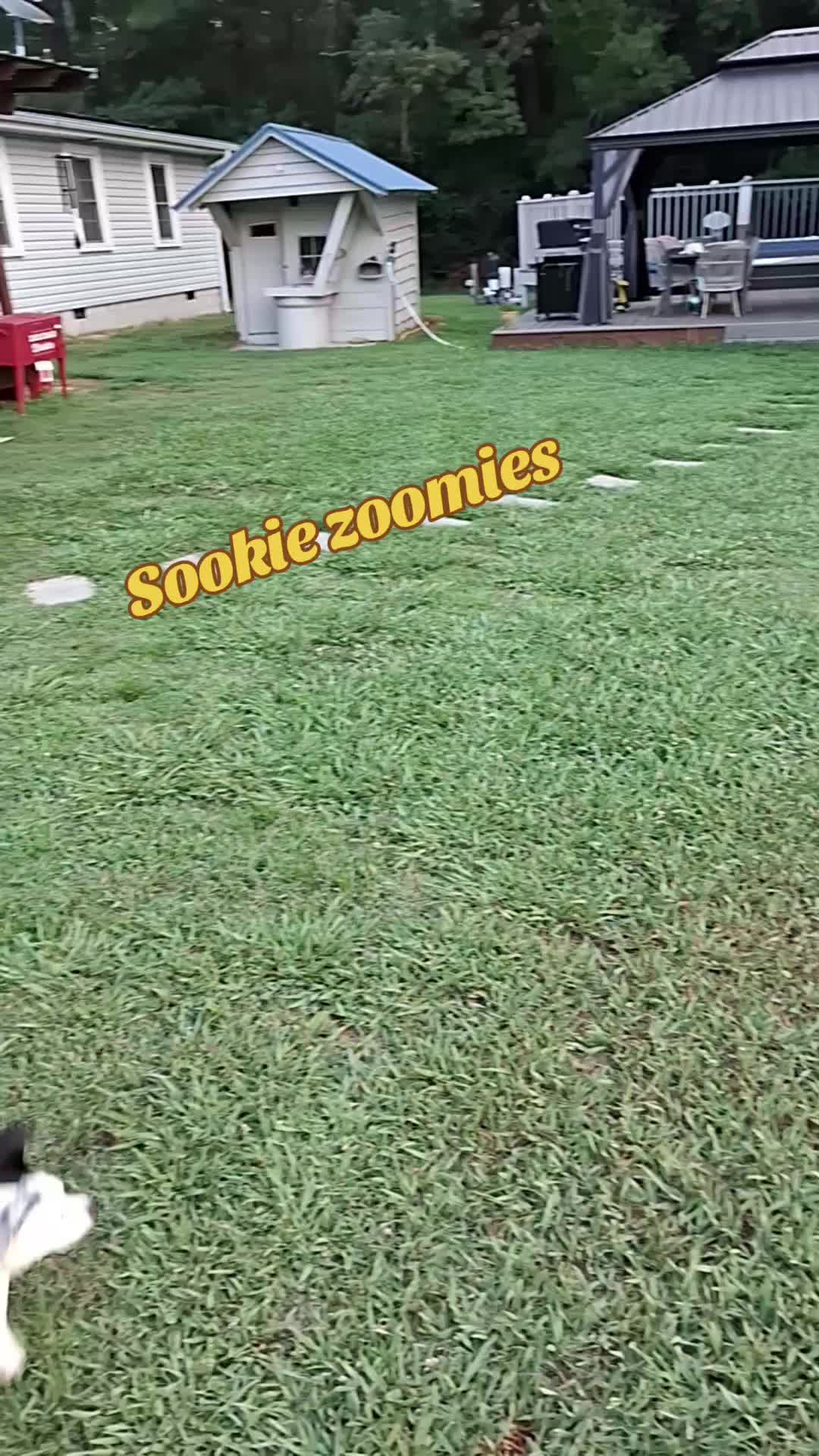 @dorissaddle_soul