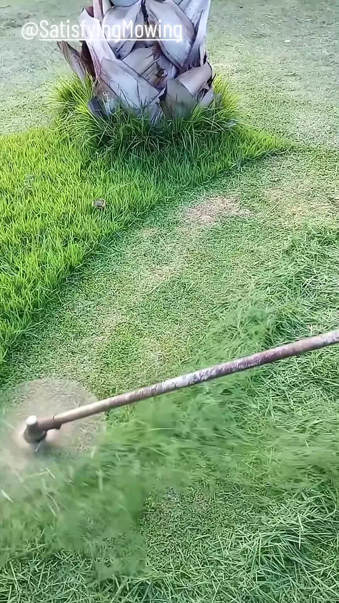 @Satisfying Mowing