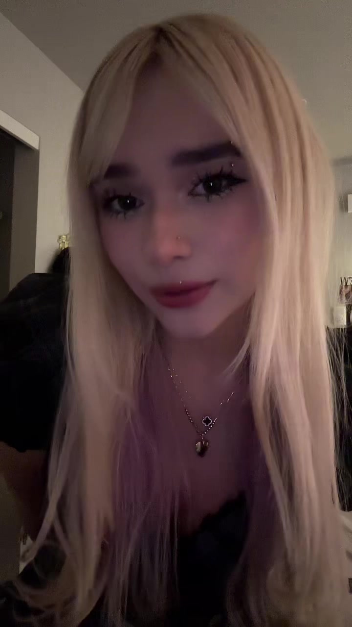 @dinopawwz