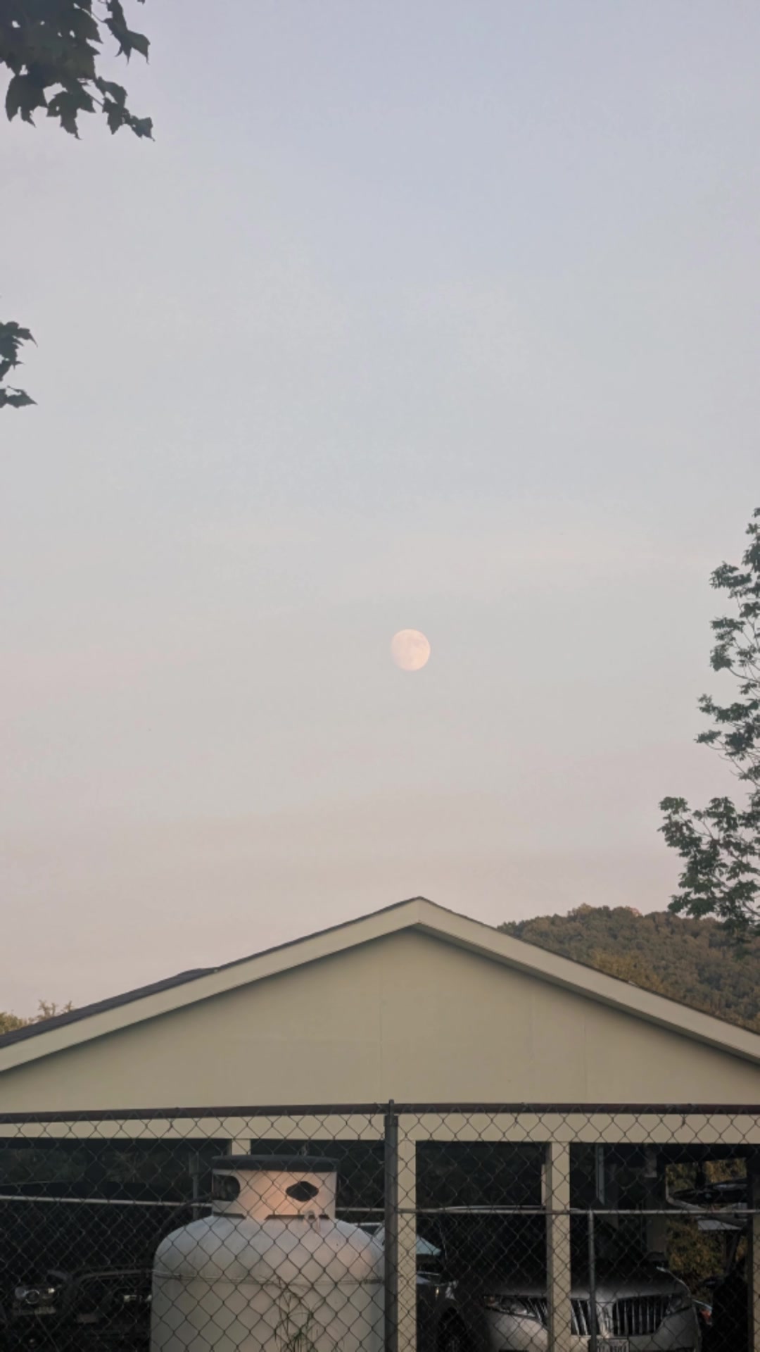 @Betty 🎶🫀🧠🎶