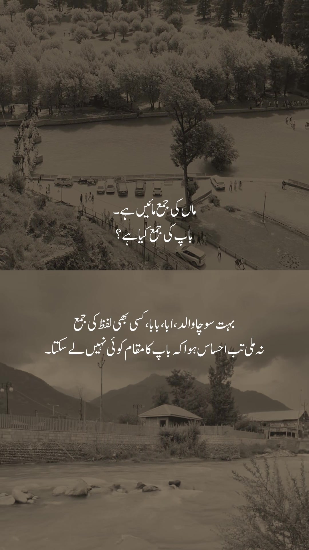@𓆩شیراز𓆪