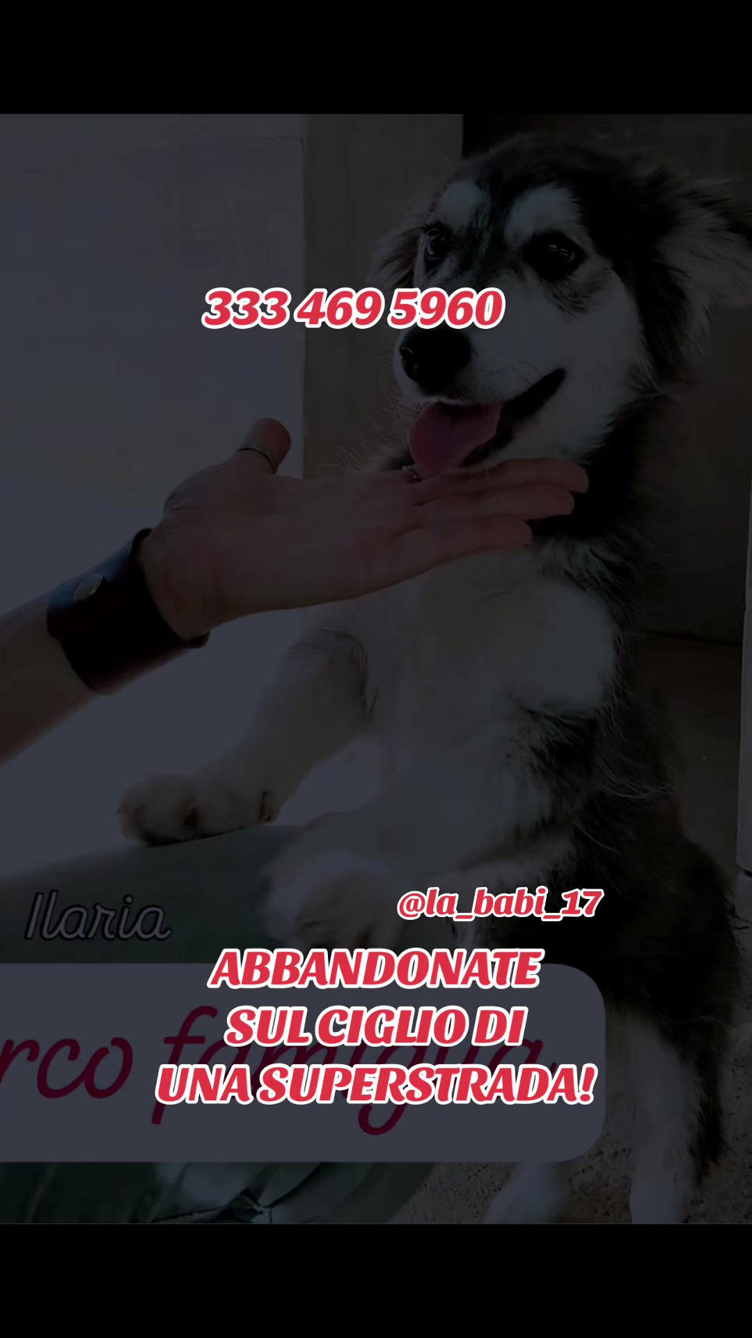 @la_babi_17