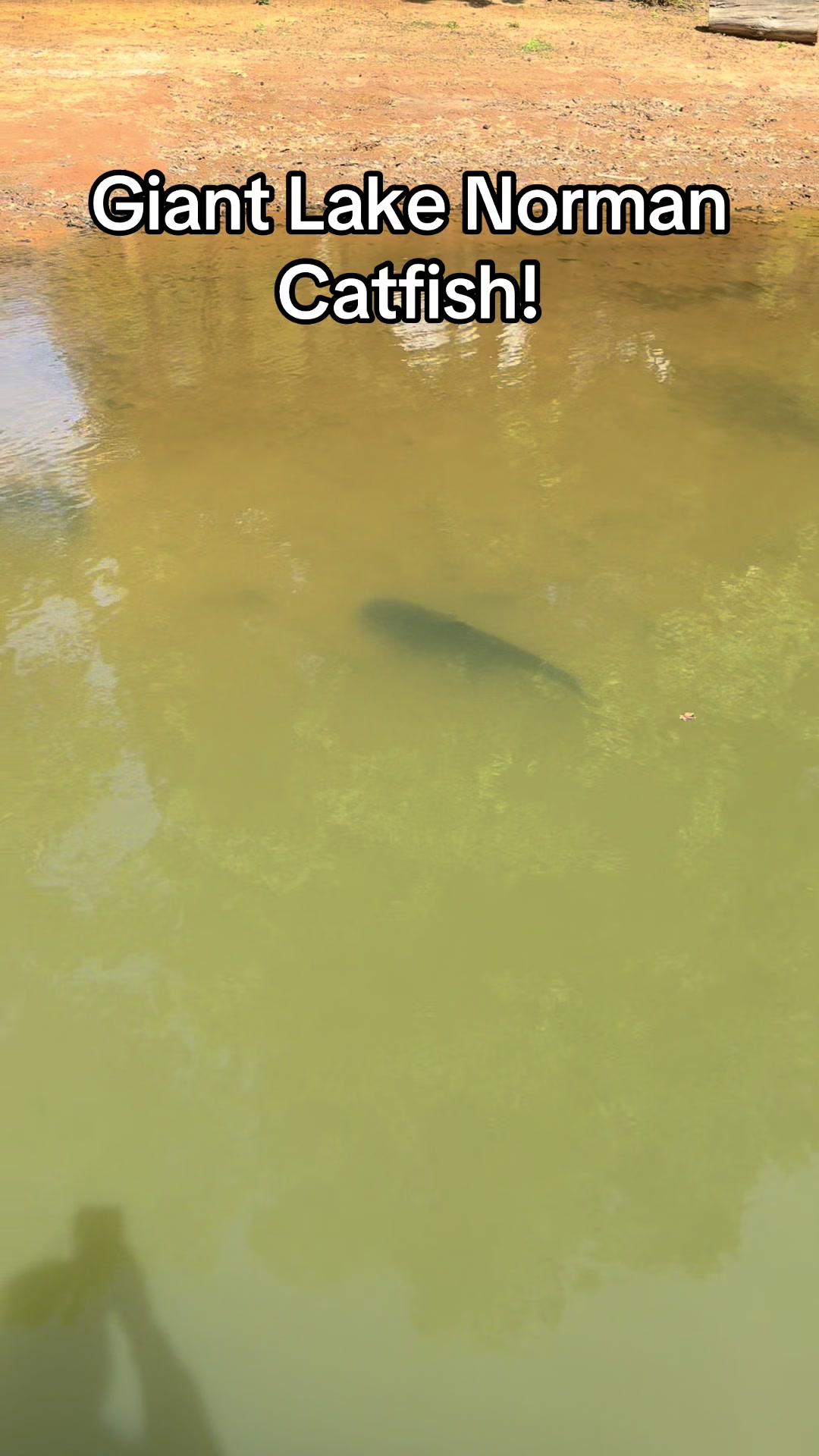 @evan_whitefishing