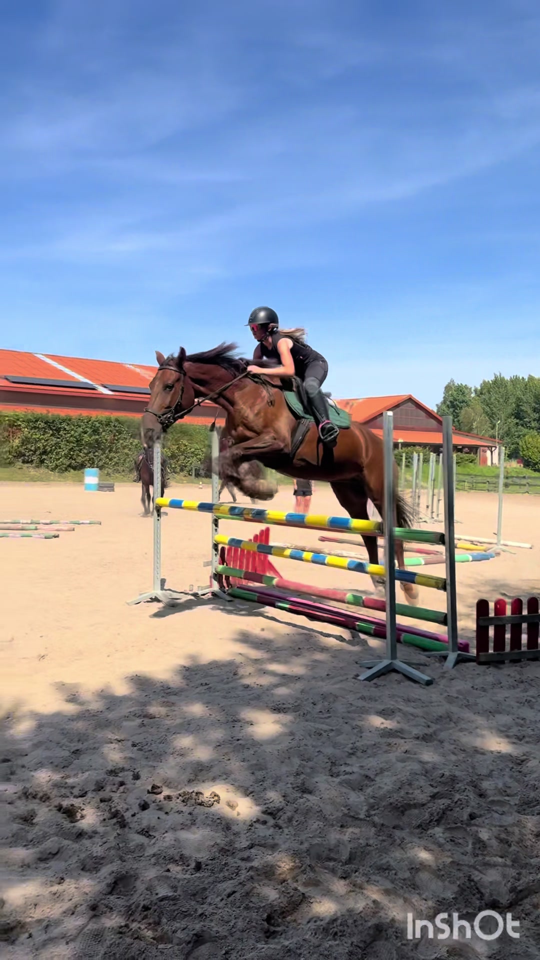 @💋🐴