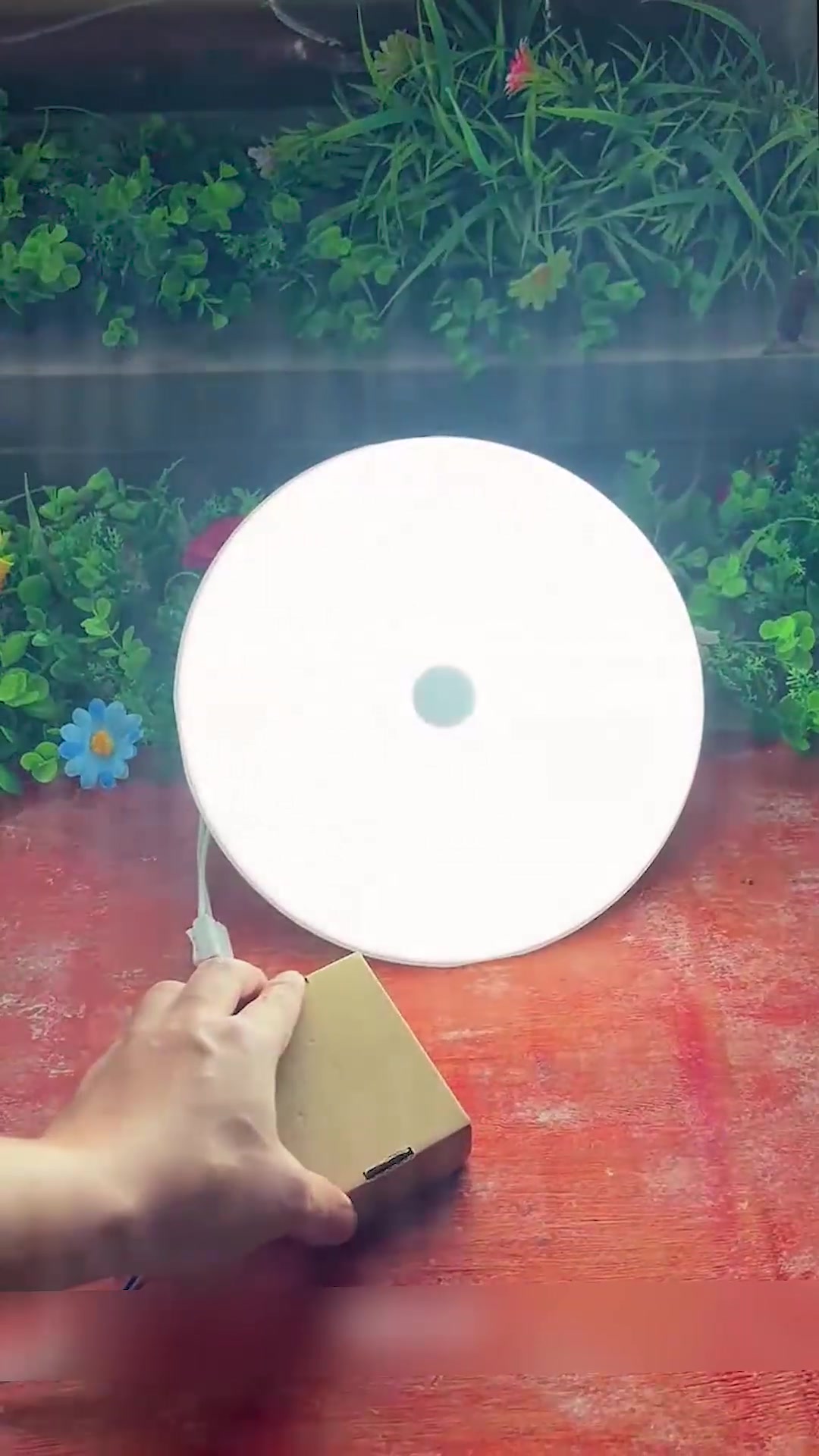 @yeechledlights