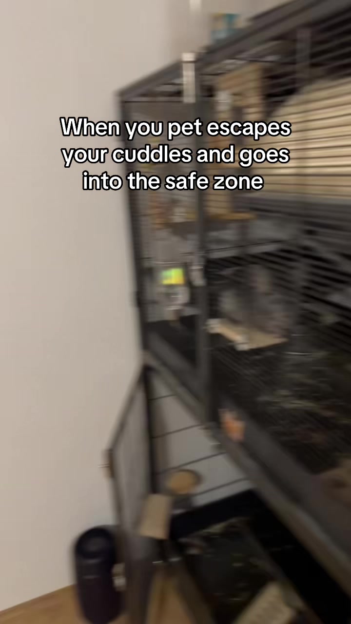 @BANDIT & STRIPE