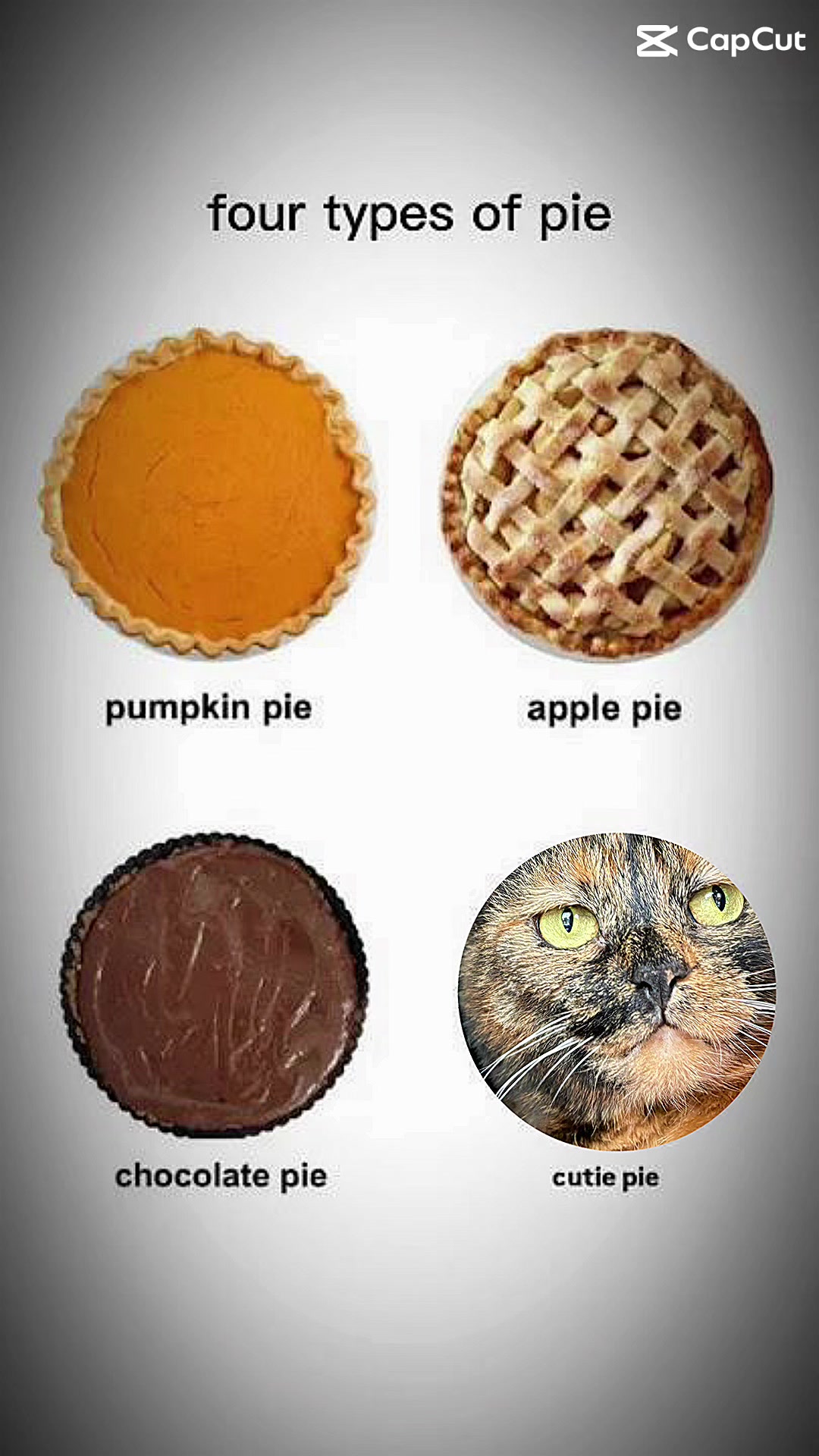 @Petlover1001