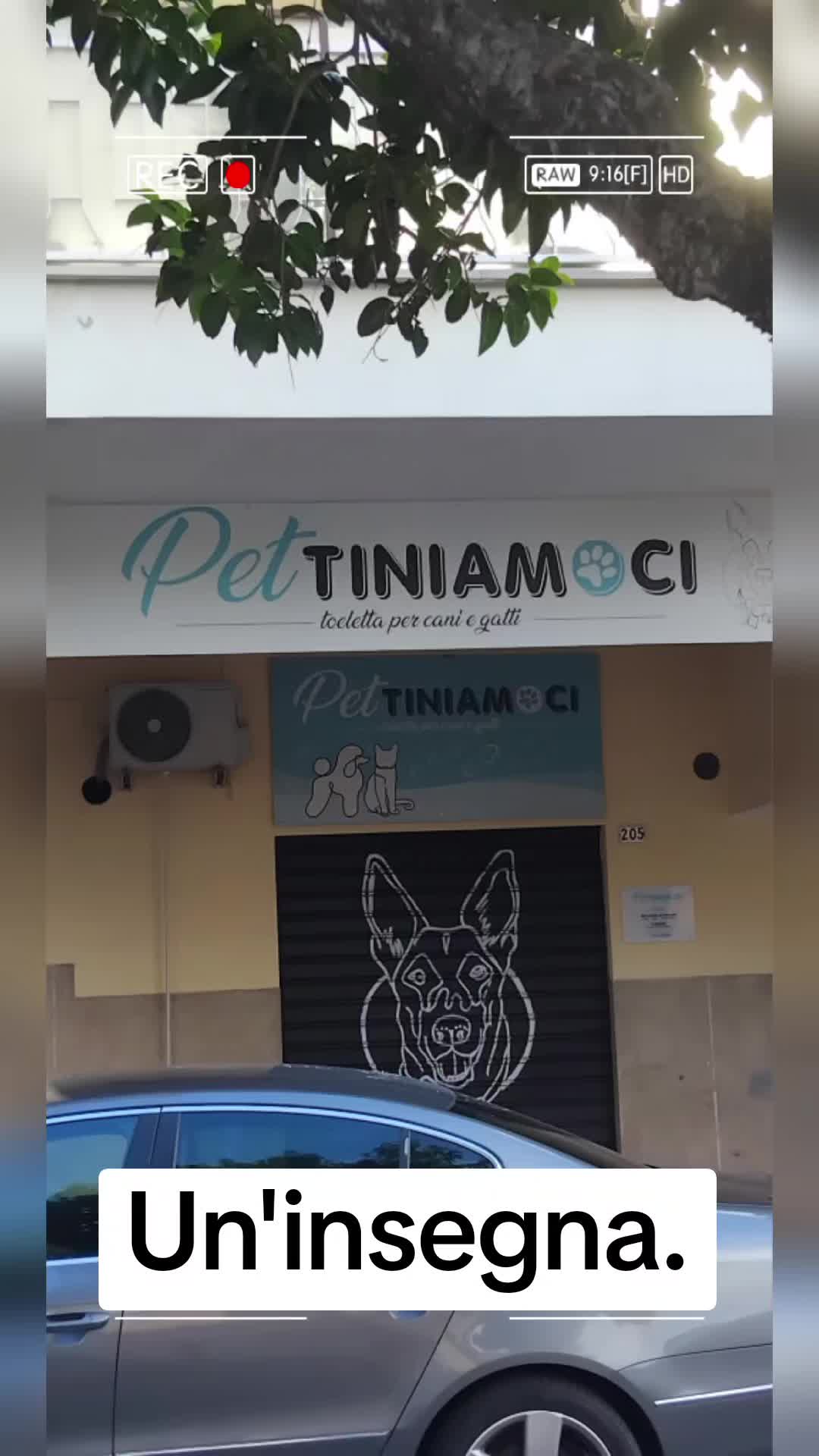@antoniodotoli