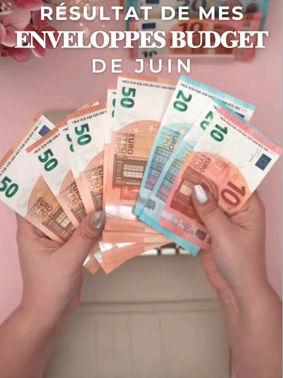 @BudgetDiary