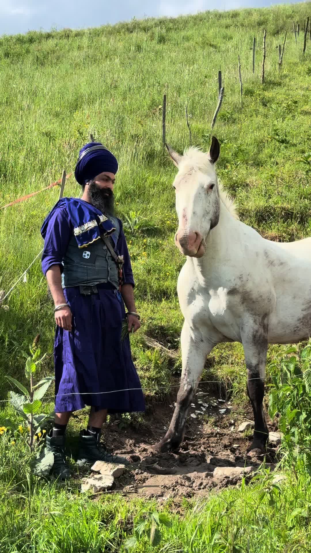 @baaj singh nihangh 🦅❤️🐎