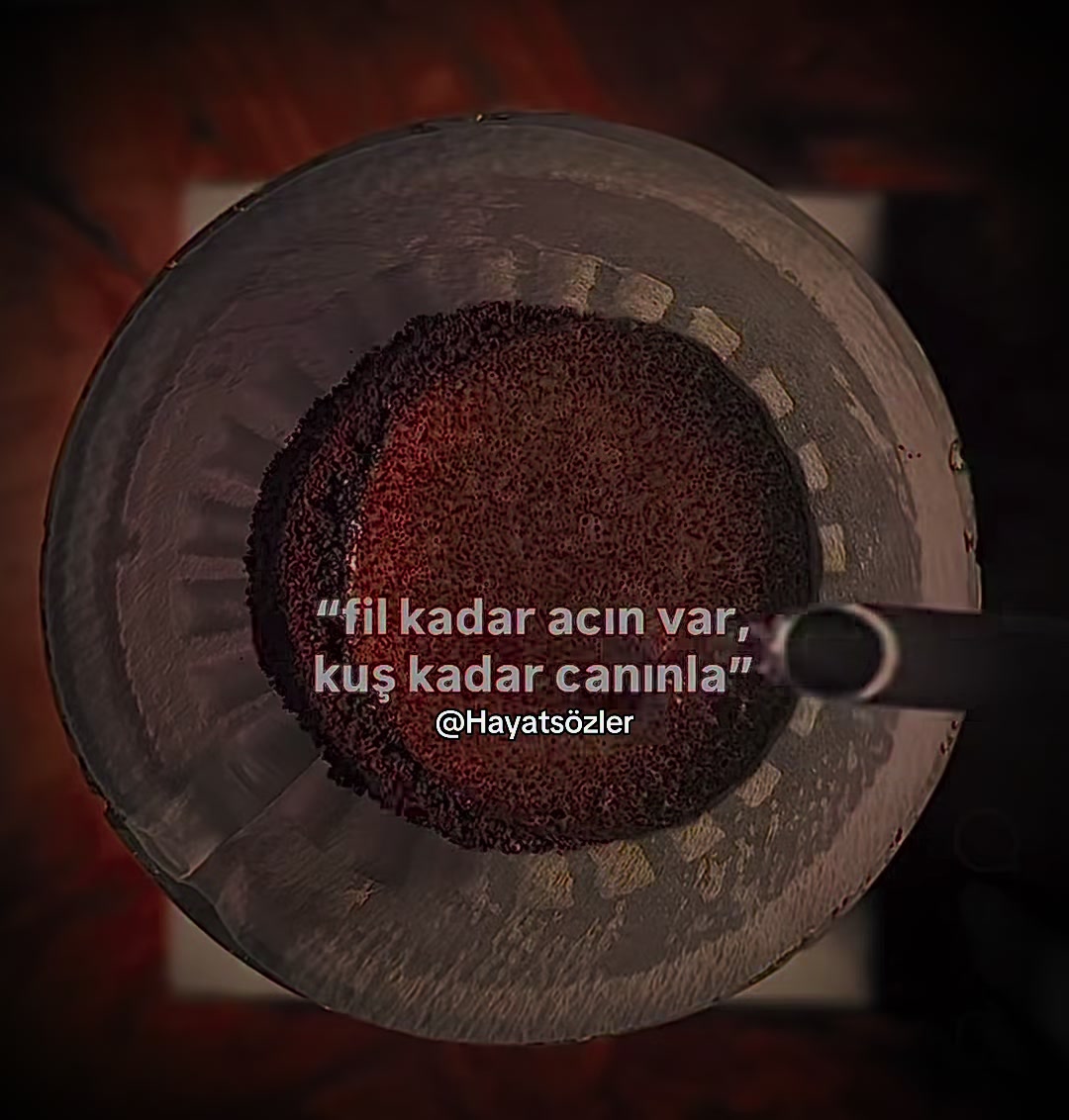 @Hayats&ouml;zler