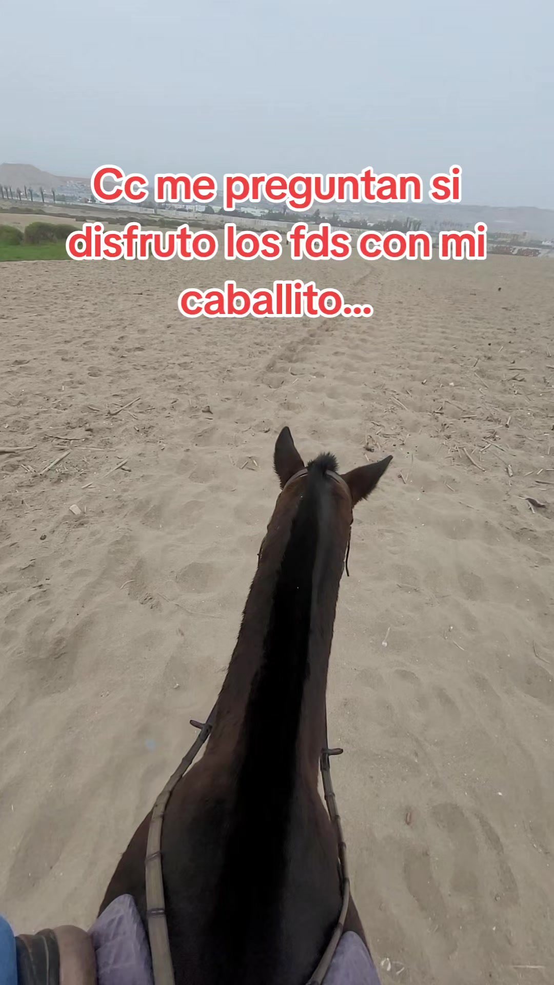 @Jos&eacute; D. Aro