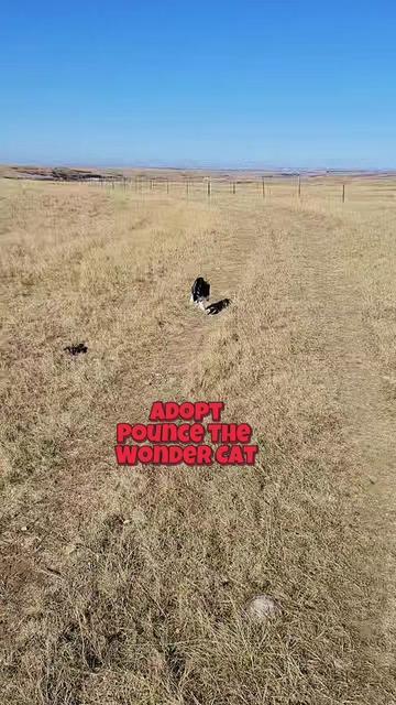 @Flint_❌ARRR Rescue Ranch