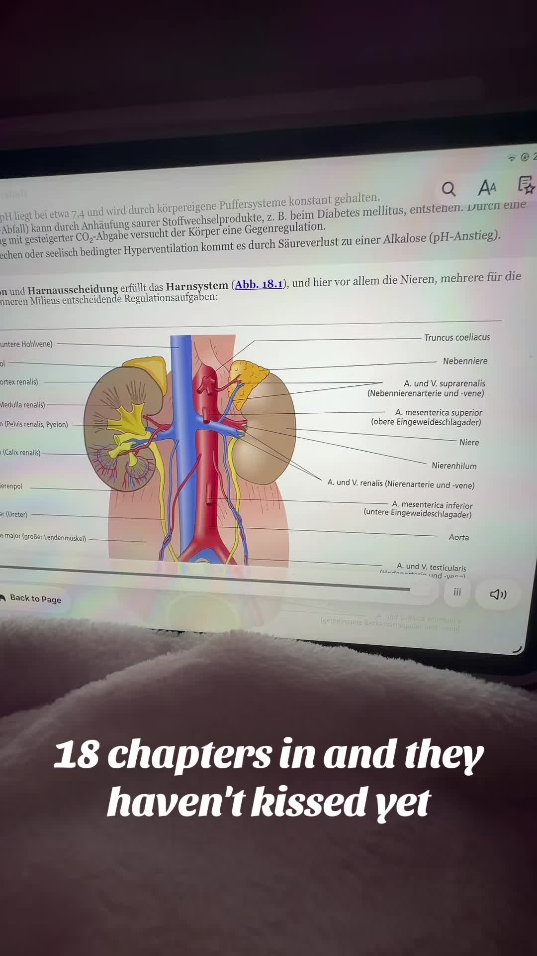 @andrea.jlc