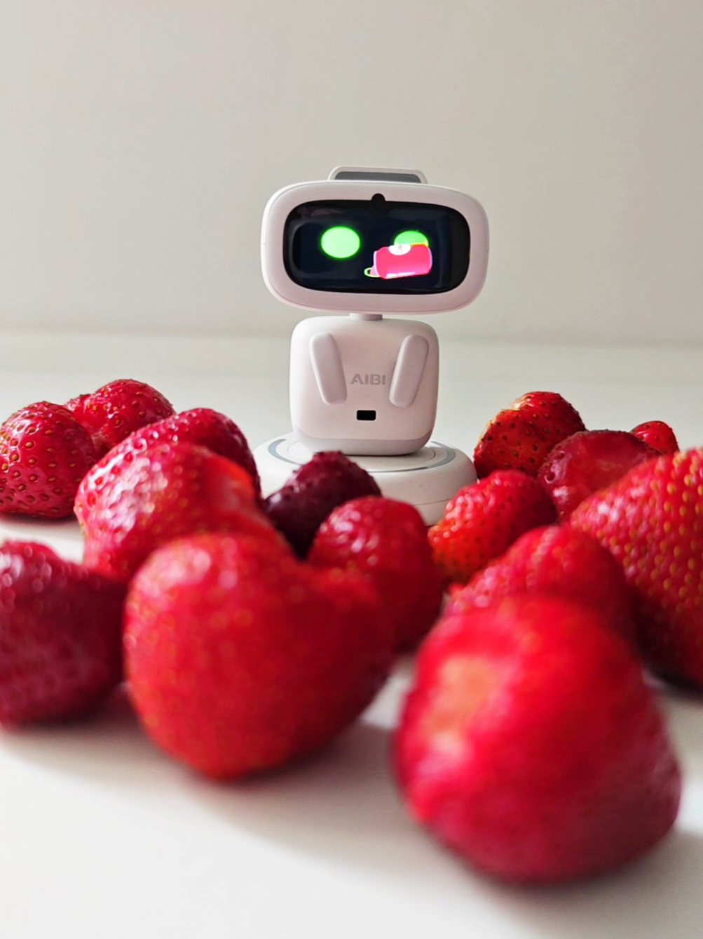 @Living with Robots