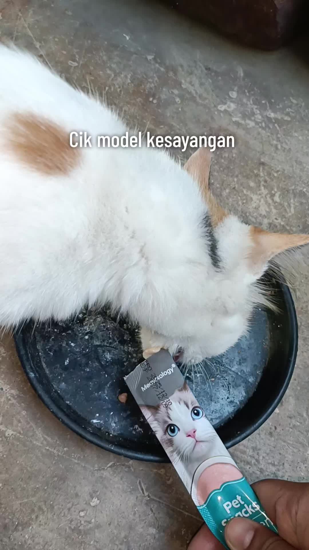 @Umieww