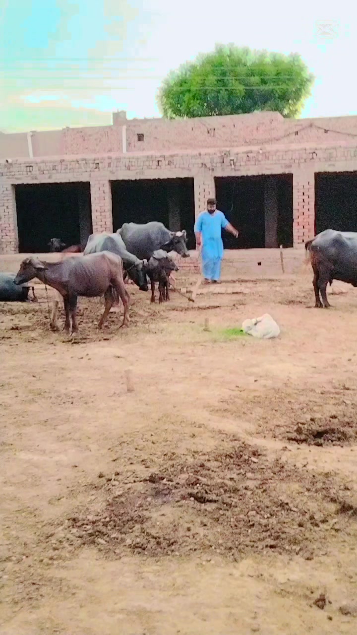 @عمران گجر