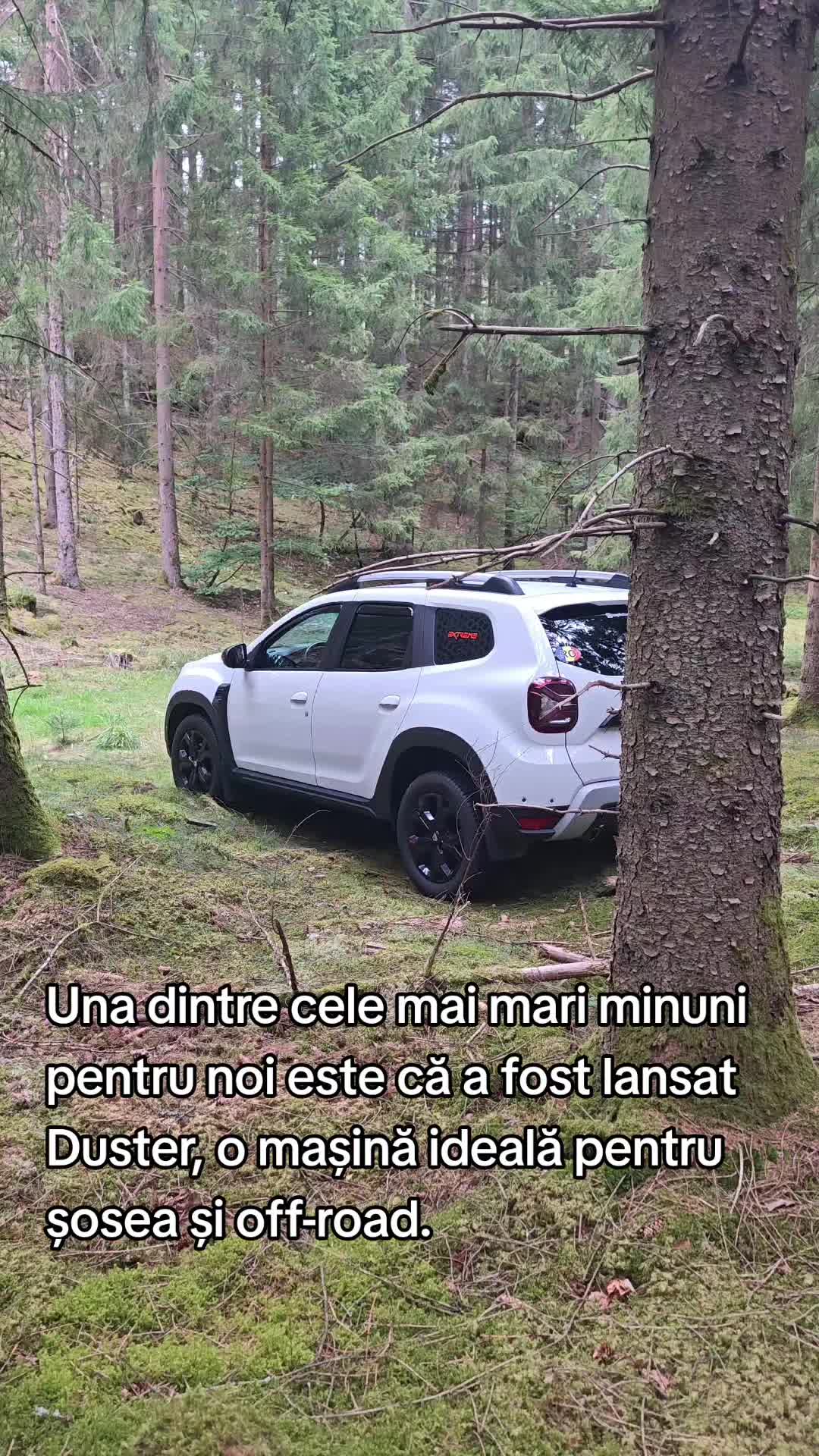 @ionuthabuc_duster_fan