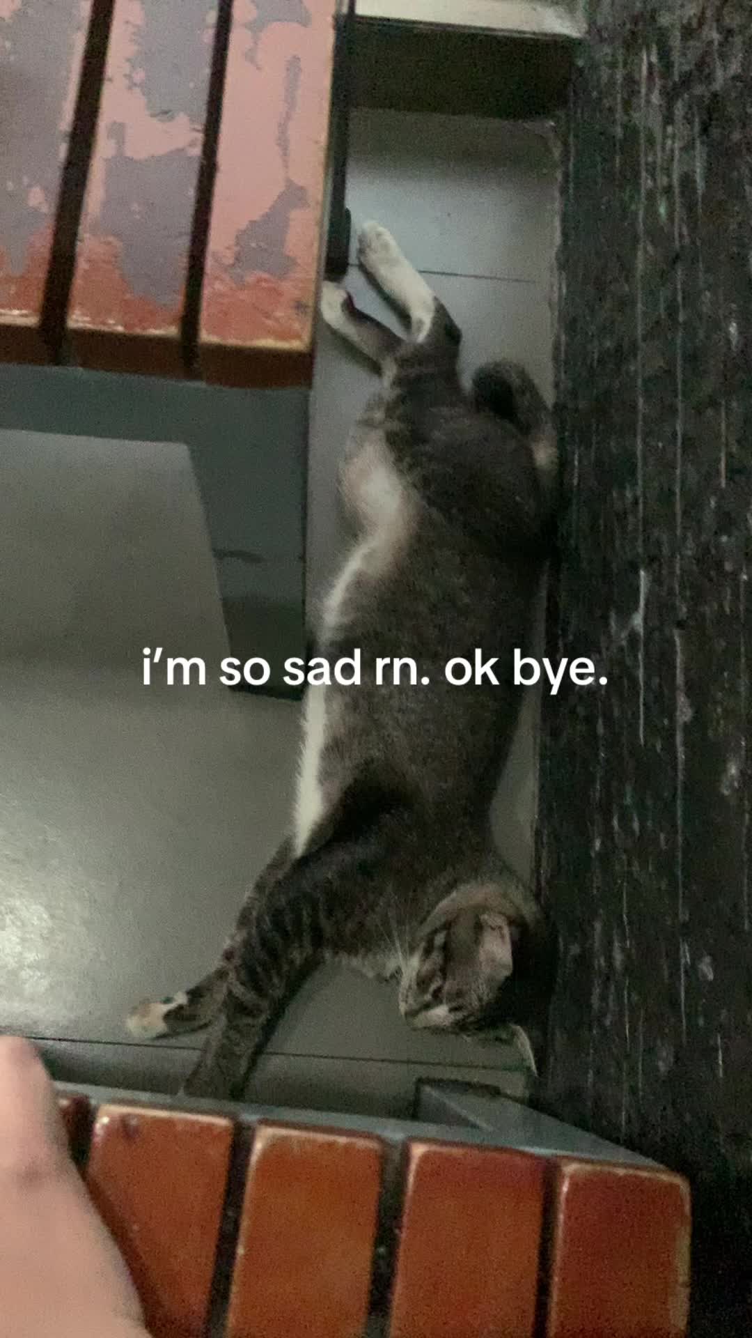 @usernotfound