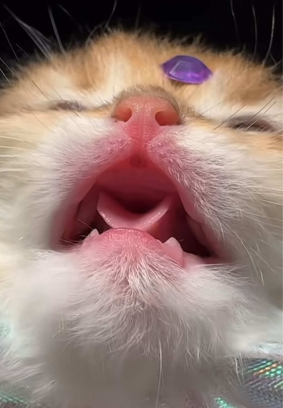 @ViralPick