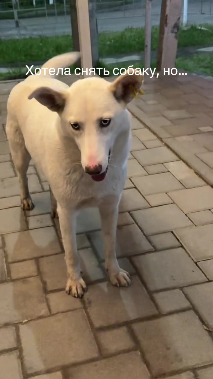 @Любовь Лисицкая