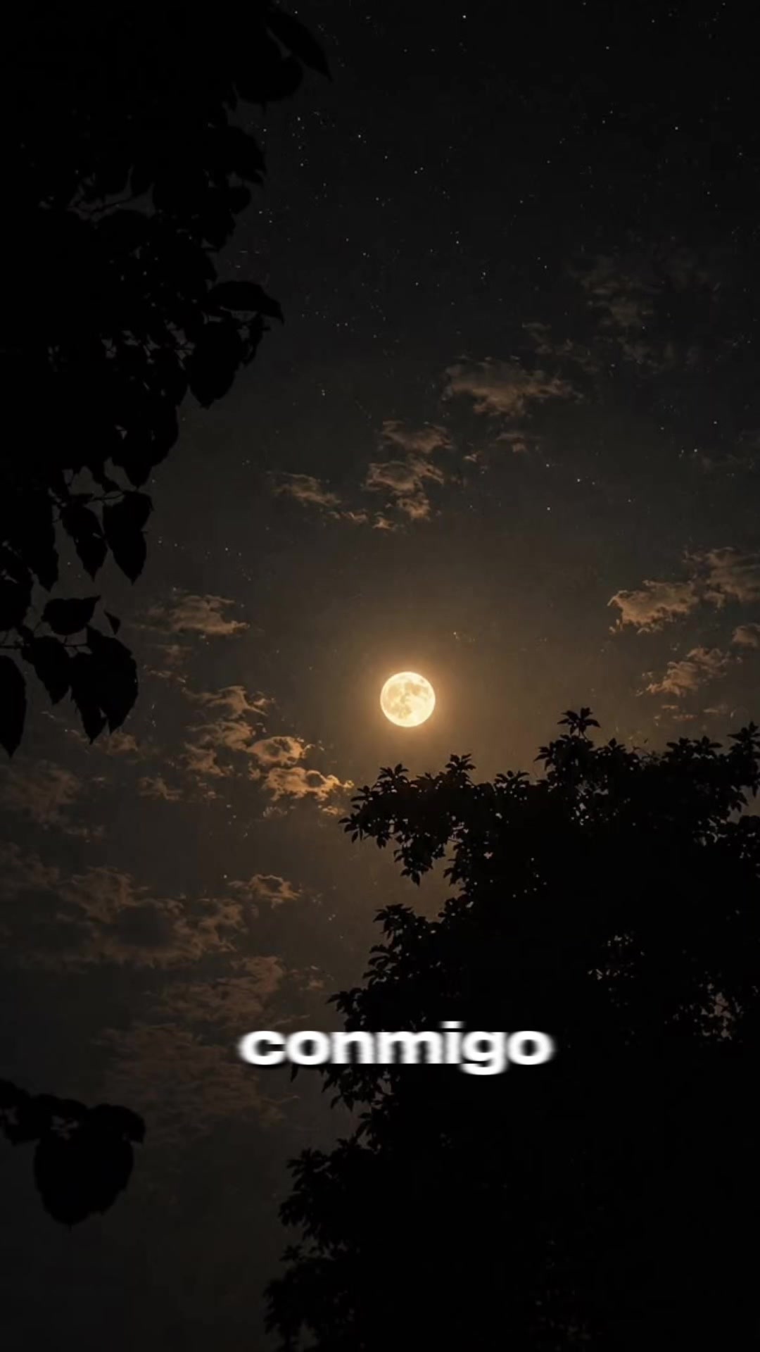 @colombiana🇨🇴