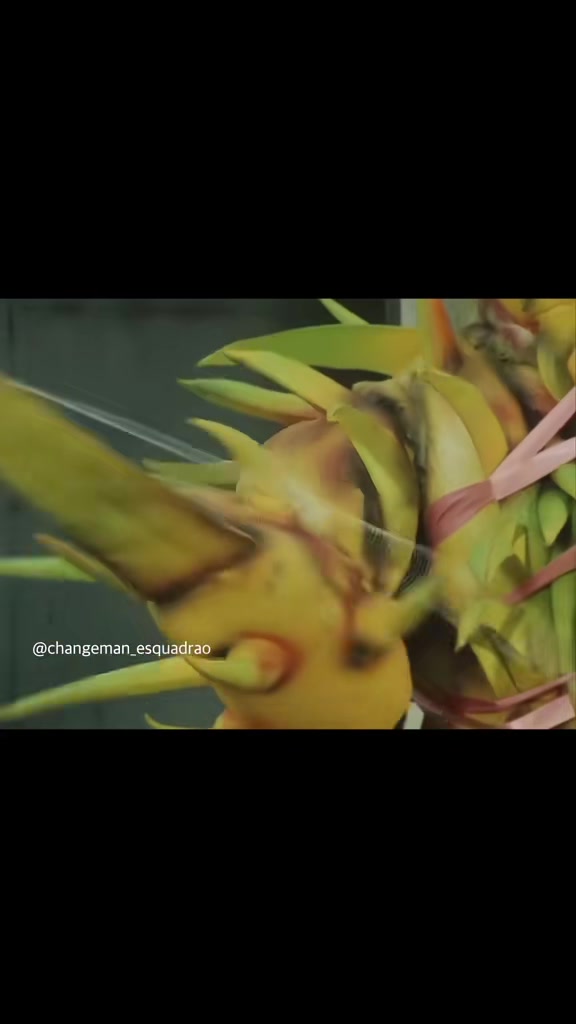 @Tokusatsu/SuperSentai