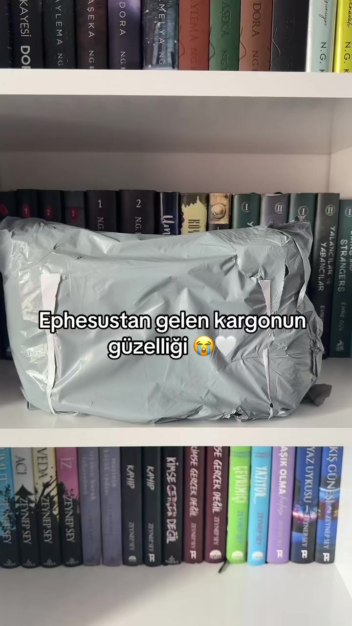 @laviniaabookss
