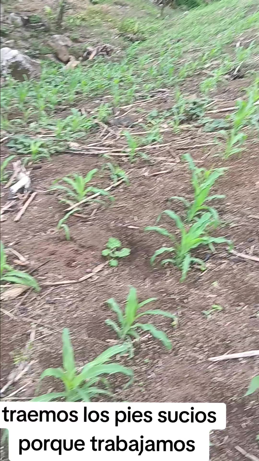 @la millonaria gracias a Dios