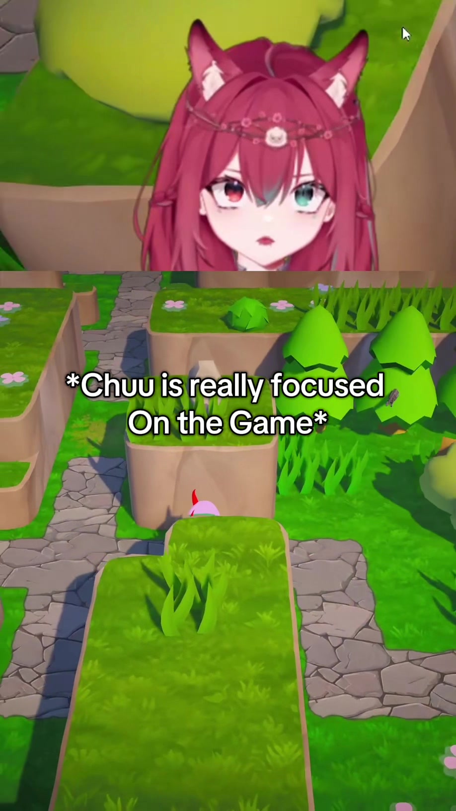 @Chuuupaca