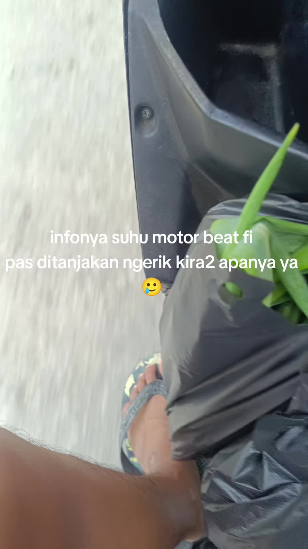 @sdk@