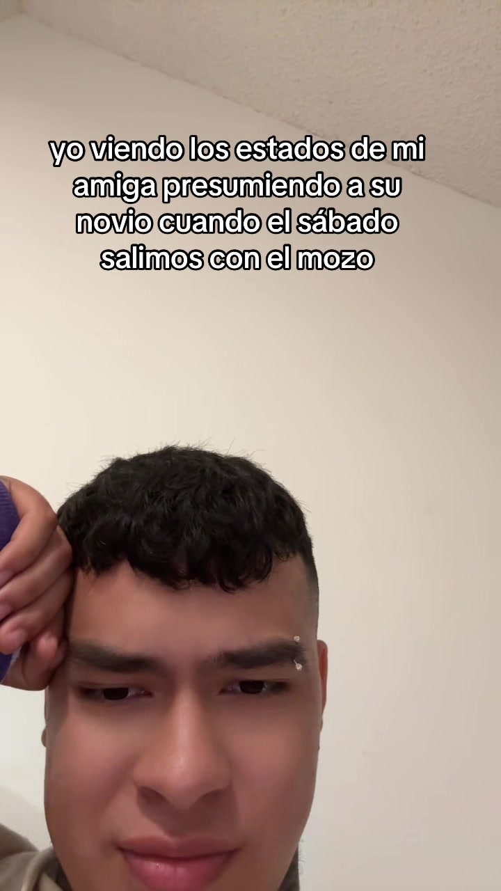 @palomino🦁