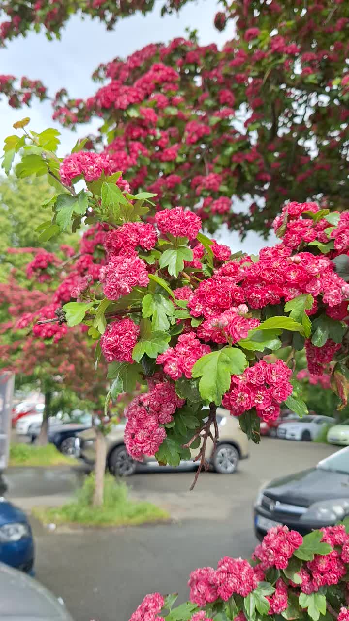 @Natur und Garten