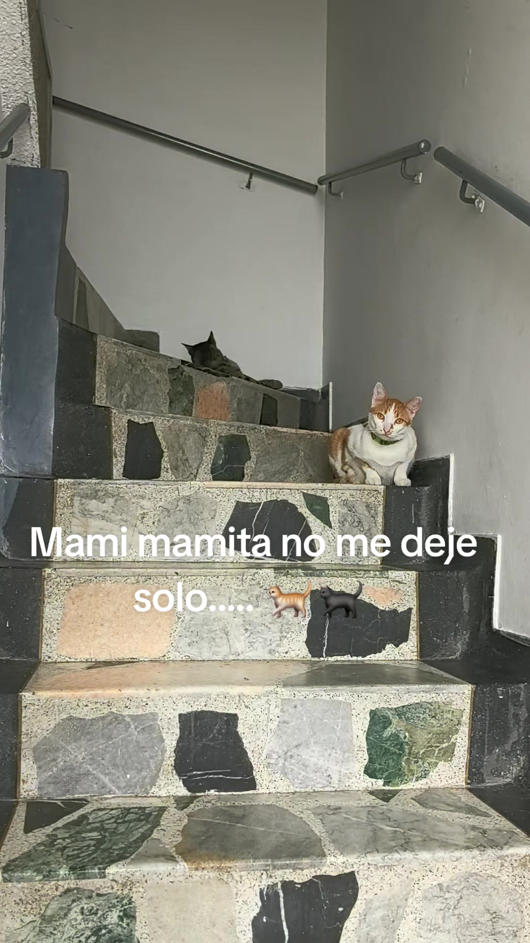 @Nelly_Kathalina77