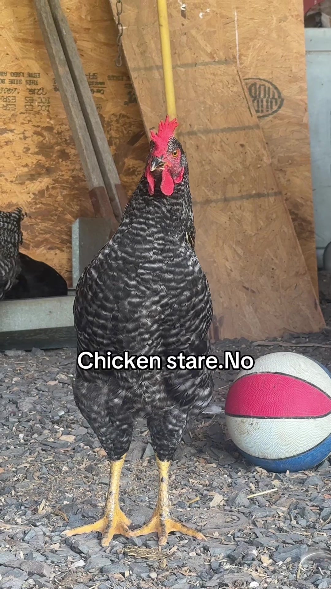 @No