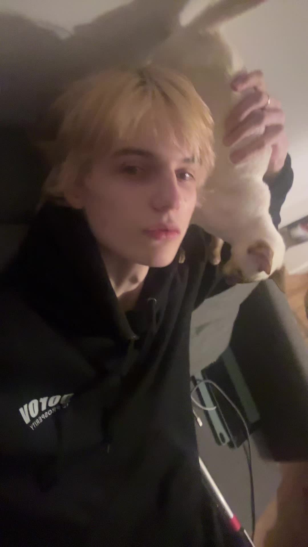 @миш дигримис
