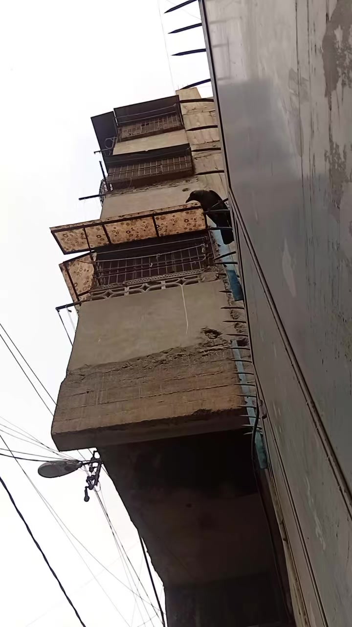 @raja Pakistani