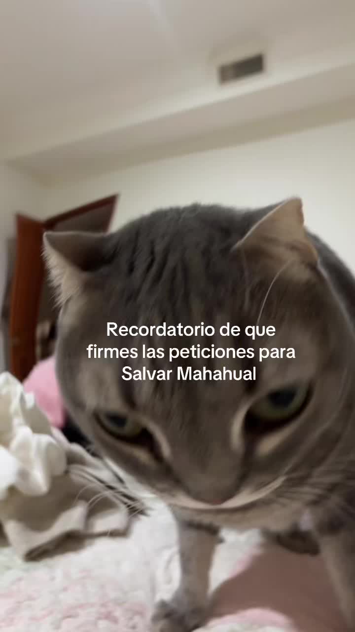 @Valeria Rojas