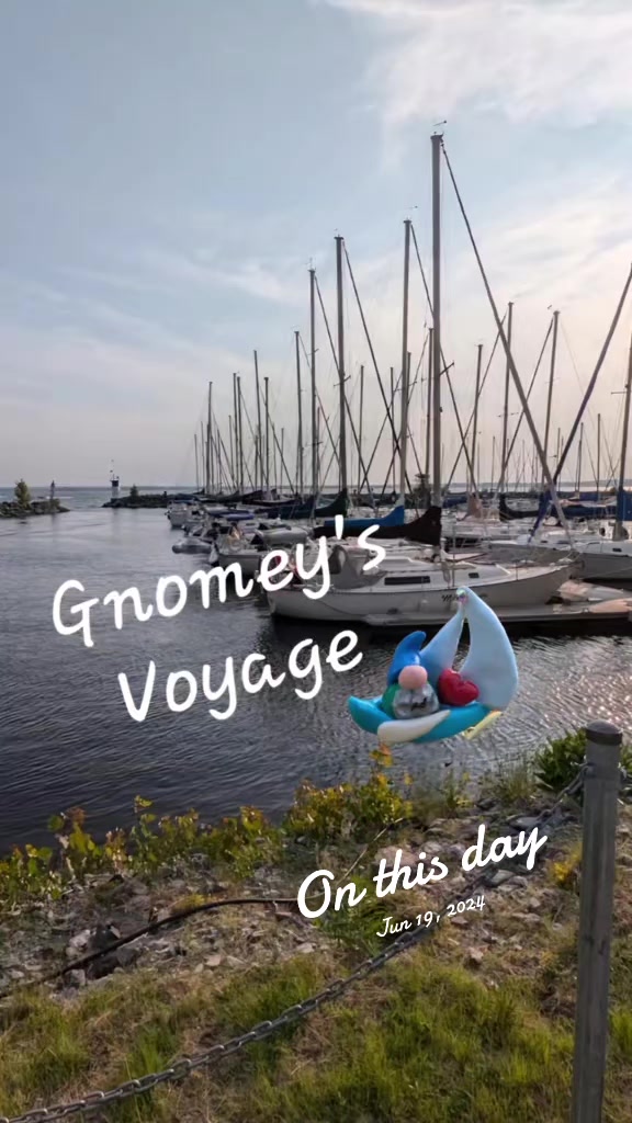 @Finding Gnomey