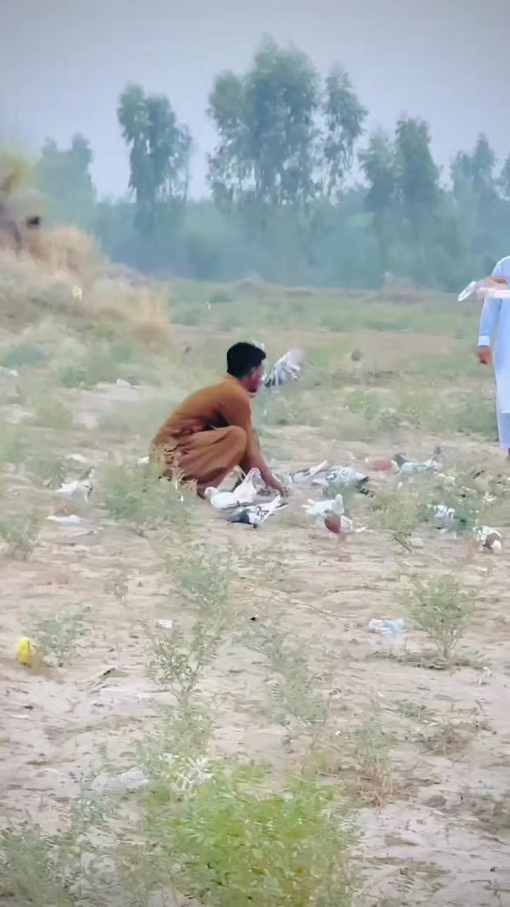@عدیل رحمن لیہ وال کبوتر باز